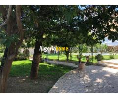 Villa à vendre à Alger avec Photo