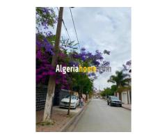 Vente Appartement F4 Alger